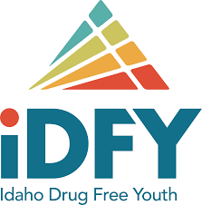 IDFY Logo
